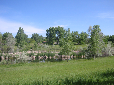 Nearby pond